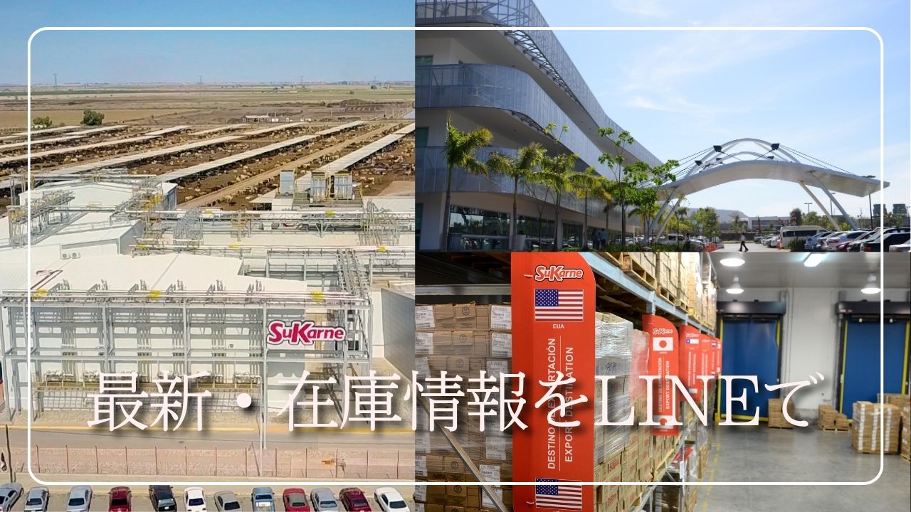 スカルネ・ジャパン公式LINEのご案内
