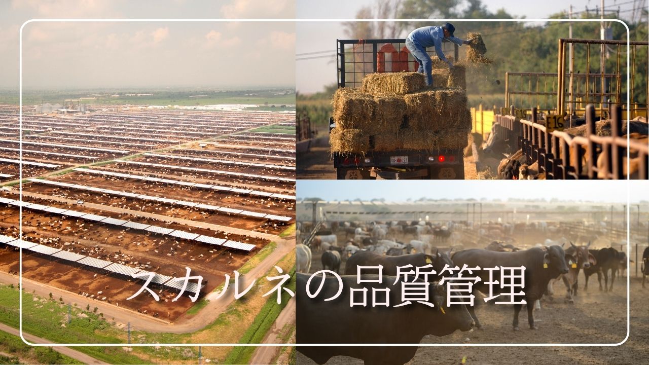 SuKarneの品質管理を支える生産現場